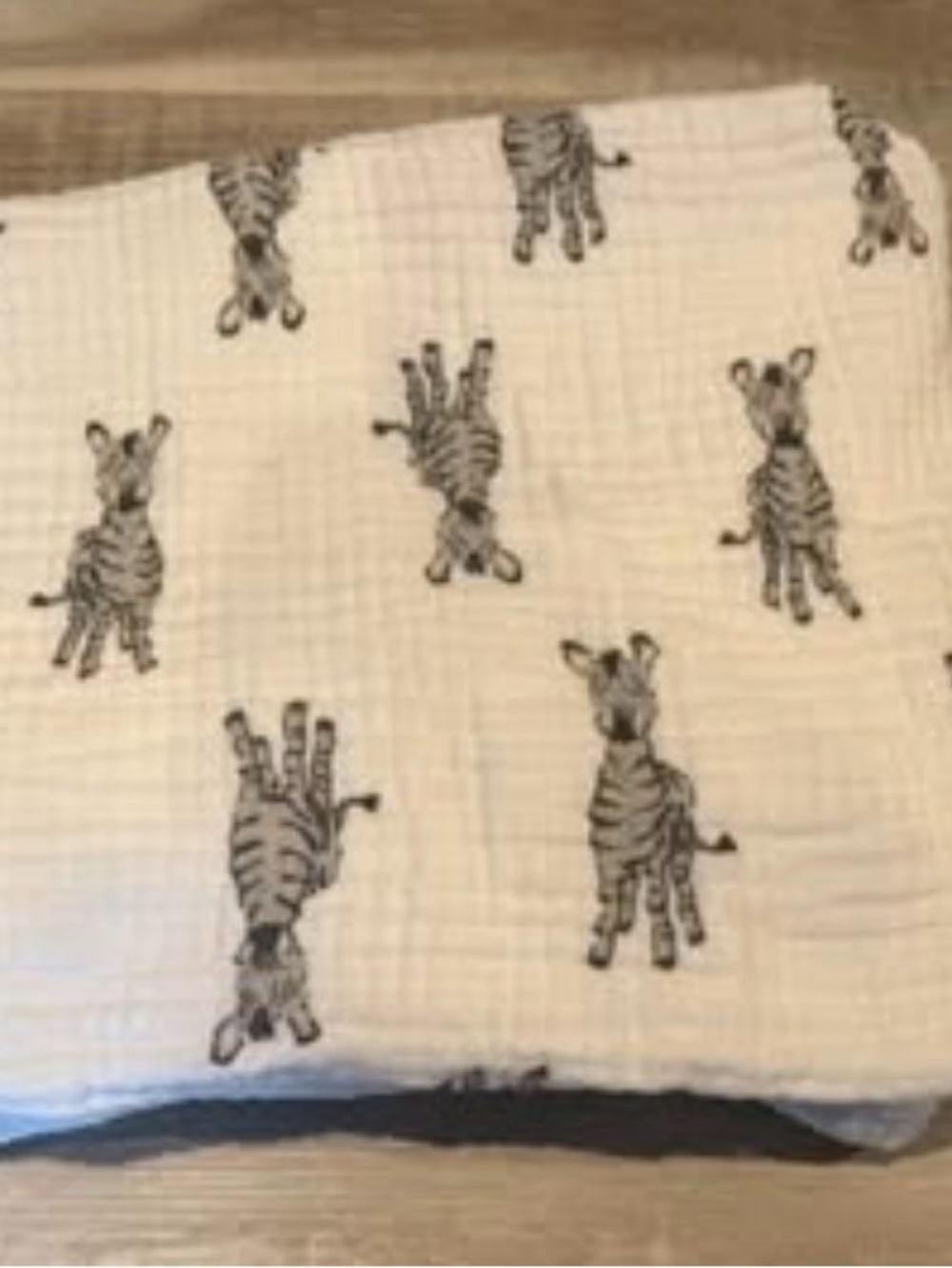 Aden + Anais Dream Cotton Blanket - Zebra print